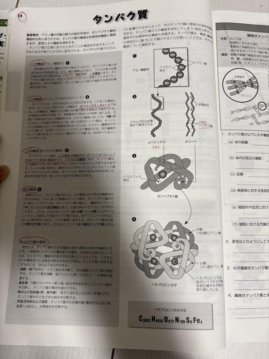 ワークブックで学ぶ生物学の基礎 の写真