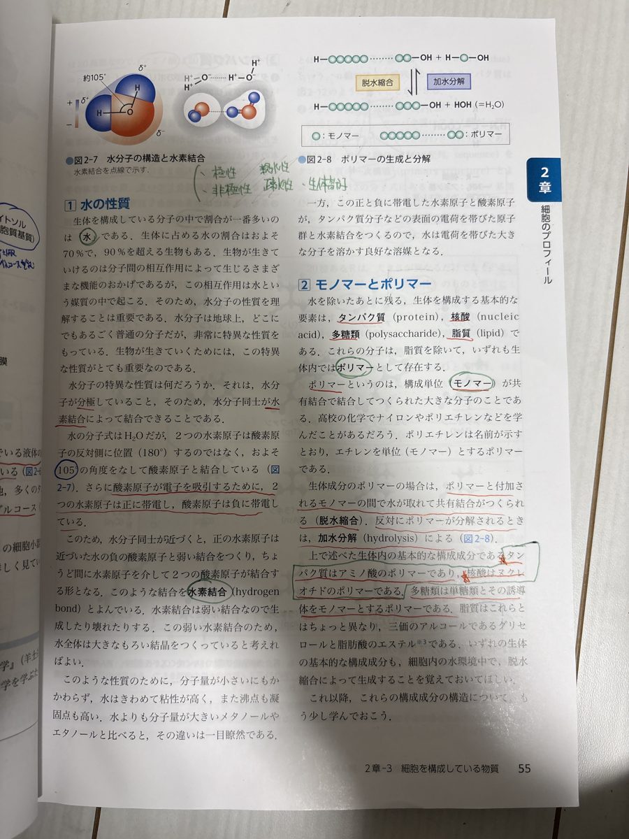 基礎から学ぶ生物学・細胞生物学 の写真